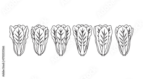 Row of stylized artichoke silhouettes with intricate line detail silhouette