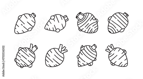 Collection of eight hand drawn root vegetable silhouettes with striped textures silhouette