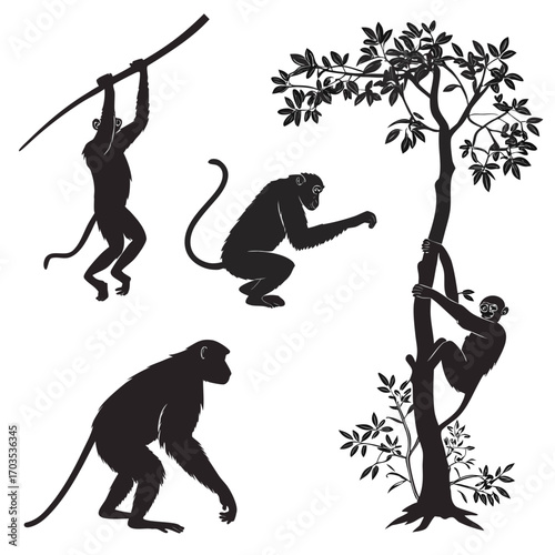 Collection of black silhouettes of monkeys in various poses on a white background depicting jungle life and arboreal activities