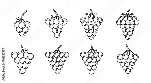 Collection of eight hand drawn grape cluster illustrations in a distinctive silhouette style