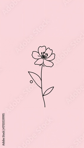 Minimalist cherry blossom flower flat design simple line hand drawing on plain pastel rose background