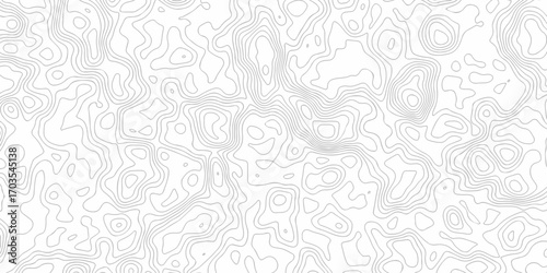 white topography map geography relief diagram texture design. Topography white background and black line world map texture design. Lines Topographic contour lines grid map seamless pattern.