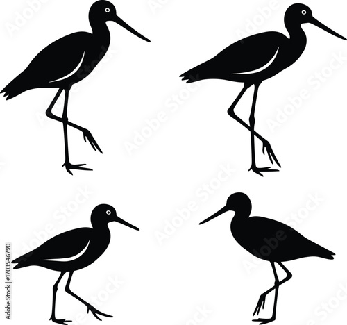 Silhouettes of shorebirds walking, wading birds, black bird shapes, water birds illustration, wildlife design, nature, animal silhouette, beak, legs, standing birds