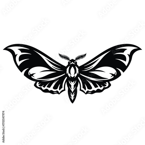 Detailed Moth Illustration with Intricate Wing Patterns and Delicate Antennae.