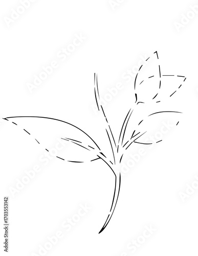 outline,line ,blackwhite, outlinelol, support,
