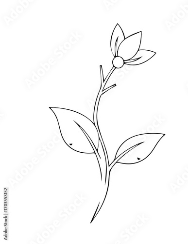 outline,line ,blackwhite, outlinelol, support,