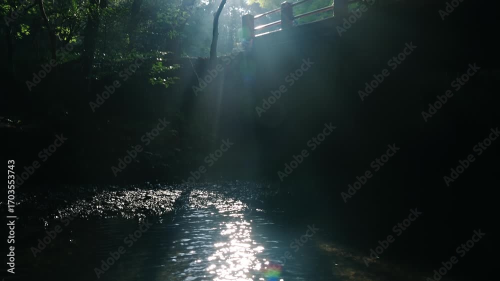 custom made wallpaper toronto digital小國神社　宮川ときらめく光芒