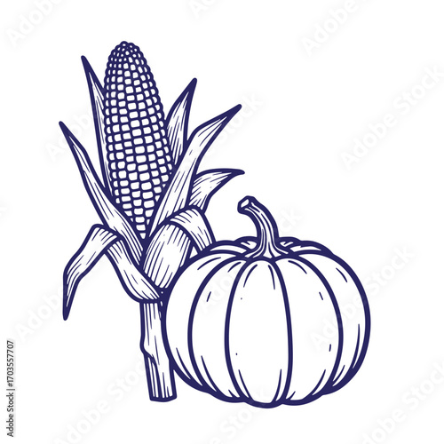 Vector illustration of an ear of corn and a pumpkin in a classic engraved style