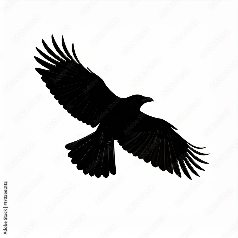 Fototapeta premium Dramatic Silhouette of a Black Bird Flying in the Sky with Wings Spread on White Background