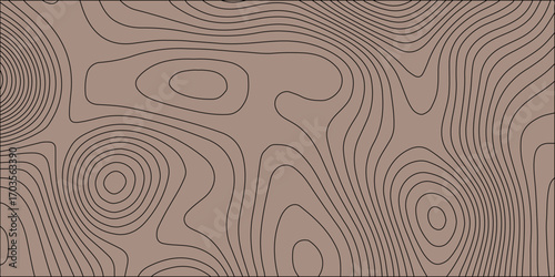 Natural seamless wood grain lines create a simple, brown vector pattern for a textured wall background design. geographic grid map with space for copy.  Grey contours vector topography. Elevation, map