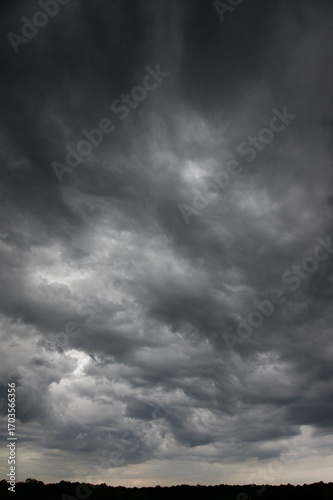 Clouds over the forest in summer