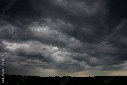 Clouds over the forest in summer
