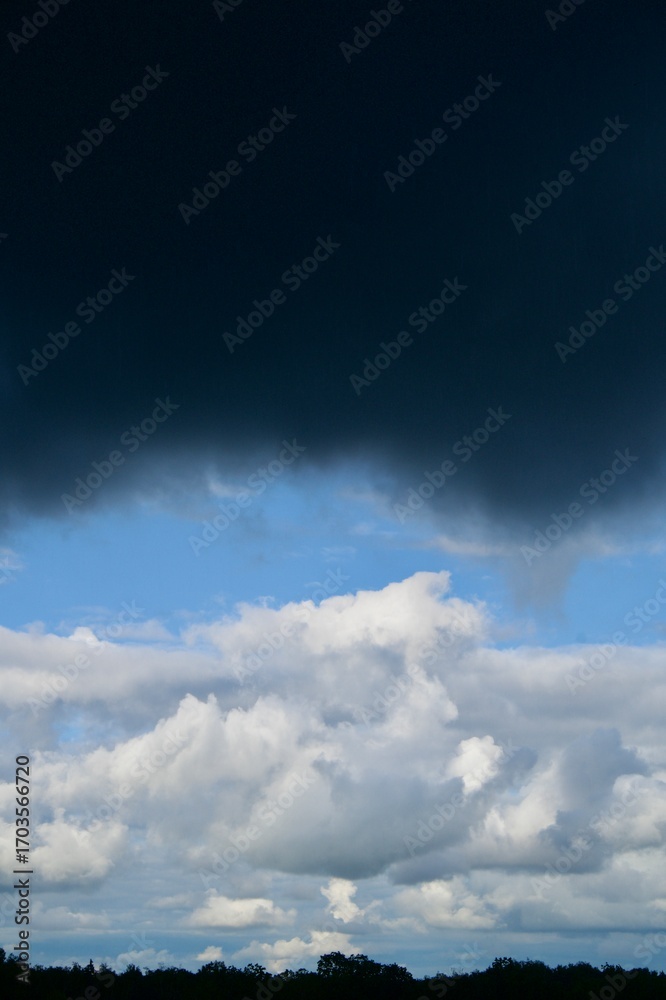 Fototapeta premium Clouds over the forest in summer