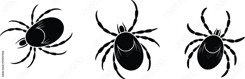 Obraz premium Black and White Tick Vector Illustrations Showing Rounded Body, Eight Legs, and Movement Poses for Entomology, Parasitology, and Disease Awareness