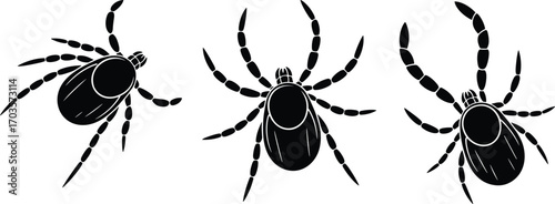 Black Silhouette Tick Vector Set Showing Rounded Body and Eight Legs in Varied Poses for Pest Control, Entomology, and Disease Awareness
