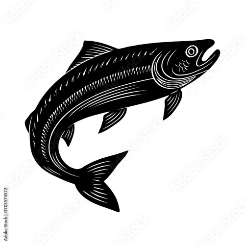 Black stylized salmon fish drawn in detailed graphic ink style, isolated on white background, representing nature and wildlife concepts