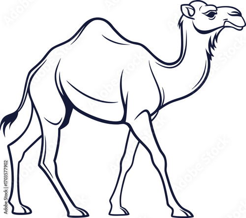 A colorful cartoon illustration of a dromedary camel with a single hump in a vast, wild desert landscape
