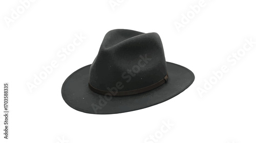 Dark Grey Felt Fedora Hat on White Background headwear fashion