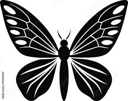 butterfly vector illustration