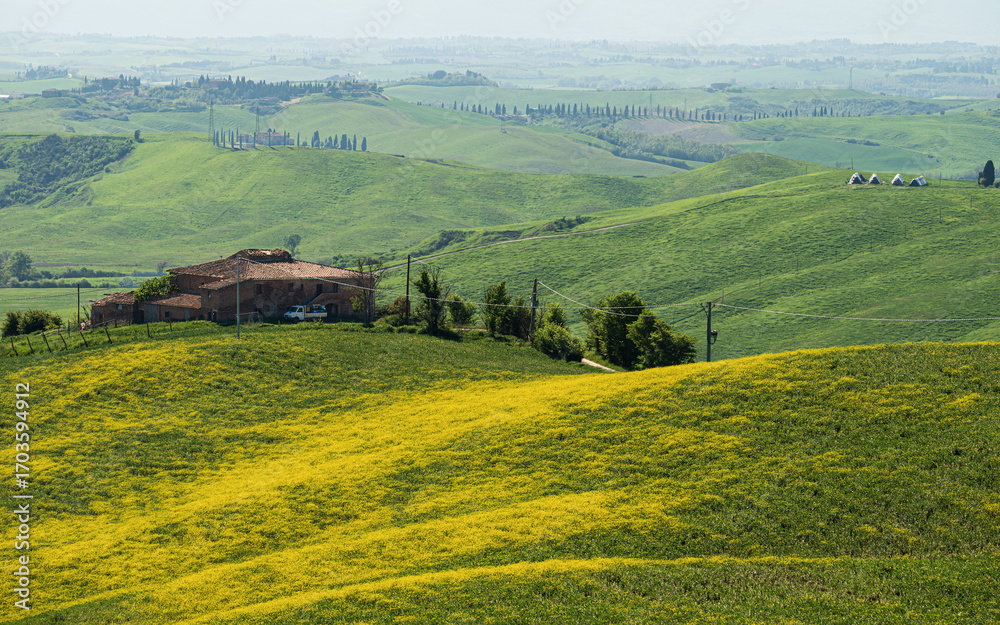 Fototapeta premium spring countryside landscape over the tuscany hills