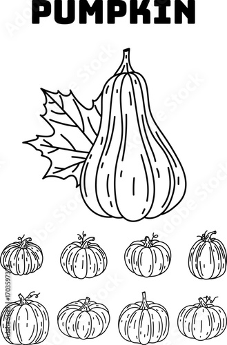 Collection of Outline Pumpkins and Autumn Leaf Illustration