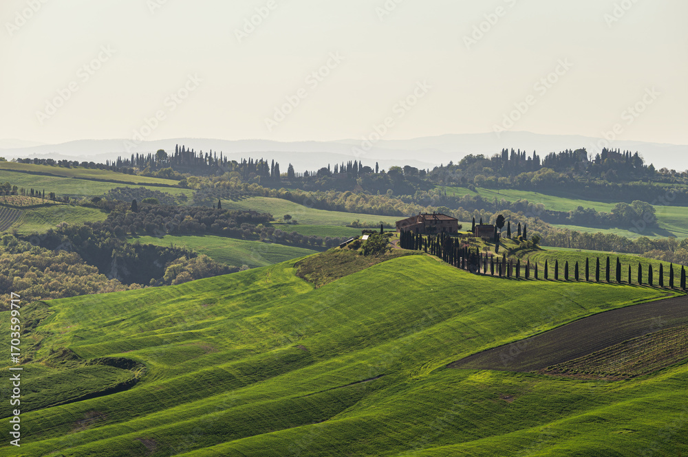 Fototapeta premium spring countryside landscape over the tuscany hills