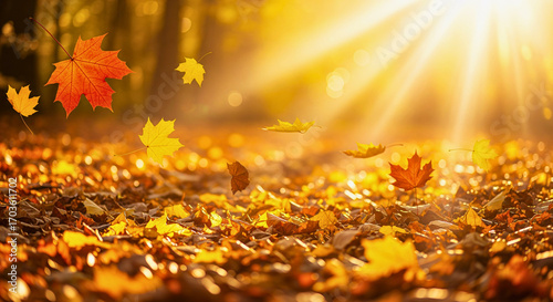 Autumnal Light and Leaves: A breathtaking shot showcasing vibrant autumn foliage with sunlight streaming through the branches. Perfect for conveying the cozy atmosphere. 