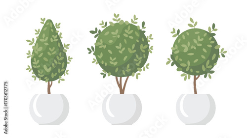 Vector art of three potted topiary trees in different shapes