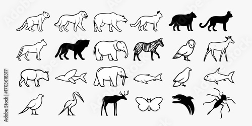 Collection of various animal illustrations including mammals birds fish and insects in black and white style