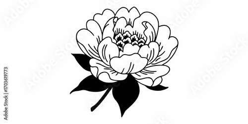 A detailed line drawing of a blooming peony flower with leaves in black and white illustration style