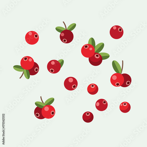 Cranberry Illustration Featuring Red Berries with Leaves on Light Background