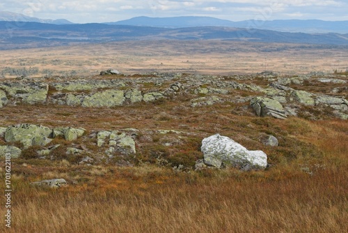 A white boulder in the hills near Storlien, Sweden