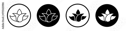 Aloe vera icon collection in black and white filled and outlined style for web.