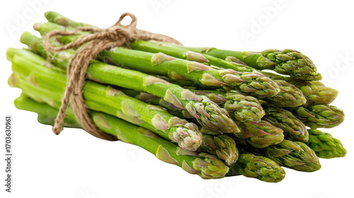 Fresh green asparagus bundled with twine, perfect for healthy recipes and culinary presentations.
