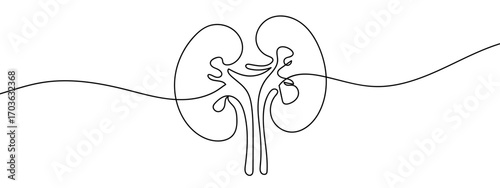 Continuous vector line of internal organs, stroke editable.