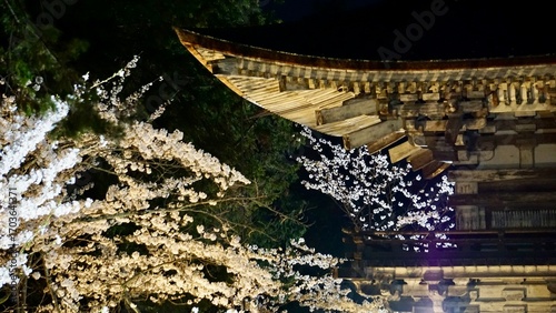 Night view of a Japanese temple gate with lit lanterns