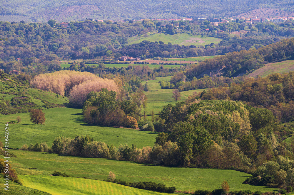 Naklejka premium spring countryside landscape over the tuscany hills