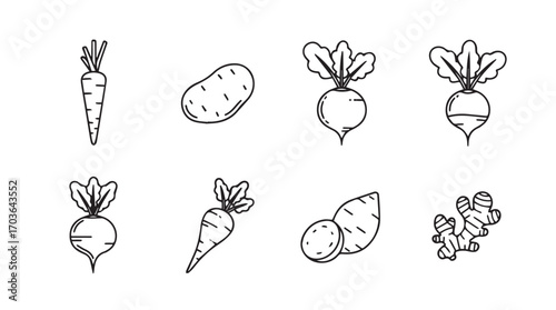 Collection of hand drawn root vegetable silhouettes including carrots potatoes radishes and ginger silhouette