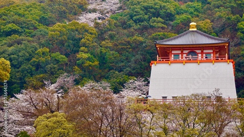 Kiimidera temple, traditional japanese pagoda building rooftop, foreground of blooming cherry blossom trees