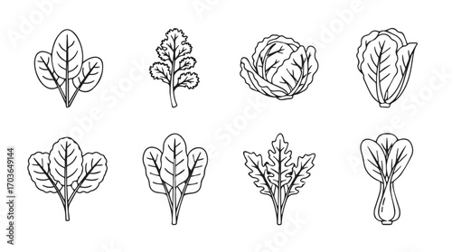 Collection of eight different leafy vegetable silhouettes in a hand drawn style silhouette