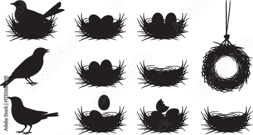 Silhouette Collection of Bird Nests with Eggs and Birds in Various Poses and Arrangements