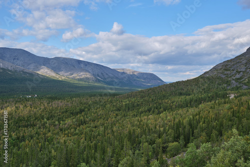 Khibiny. View from the plateau to the panorama of the mountain gorge with a forest massif on a bright sunny autumn day. Tourist place for recreation