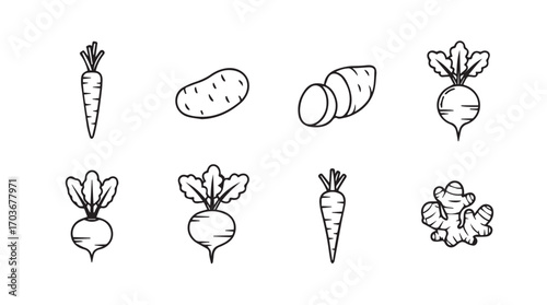 Collection of hand drawn root vegetable silhouettes including carrots potatoes and radishes silhouette