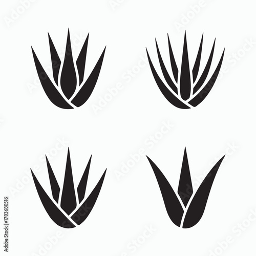 Aloe vera flat solid icons bundle