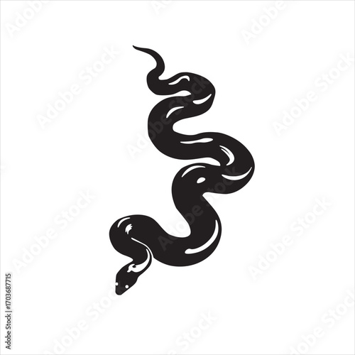 the anaconda snake that is in the Amazon