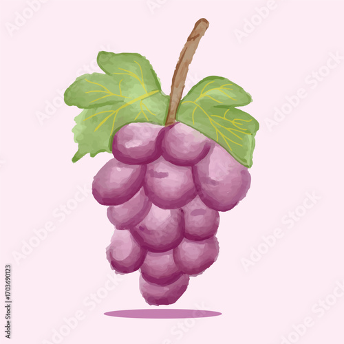 isolated watercolor purple grape vector element
