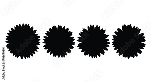 Four abstract black organic starburst shapes isolated on vector