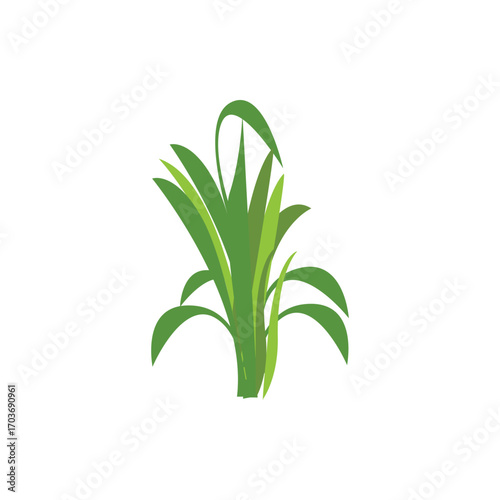 Green grass illustration with fresh blades in cartoon style. Perfect for nature design, lawn decoration, garden elements, eco concept, landscape vector, and outdoor scene artwork.