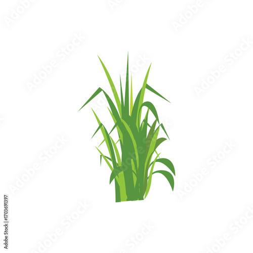 Green grass illustration with fresh blades in cartoon style. Perfect for nature design, lawn decoration, garden elements, eco concept, landscape vector, and outdoor scene artwork.