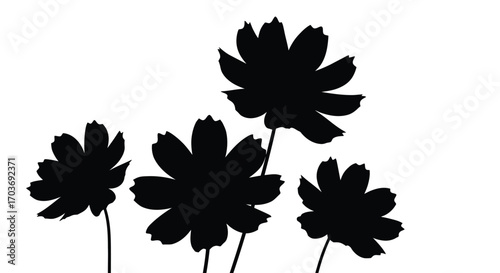 Silhouette of delicate wildflowers blooming with thin stems against a white backdrop vector